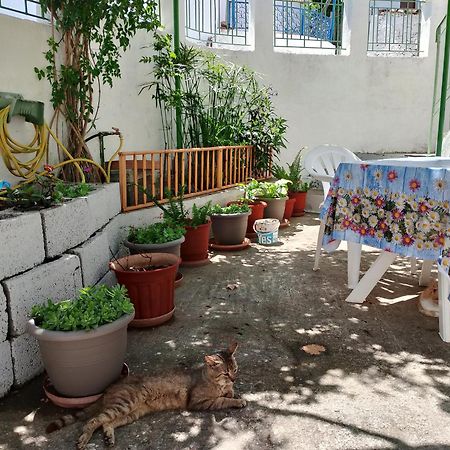 Trikeri Traditional Cozy House Esterno foto