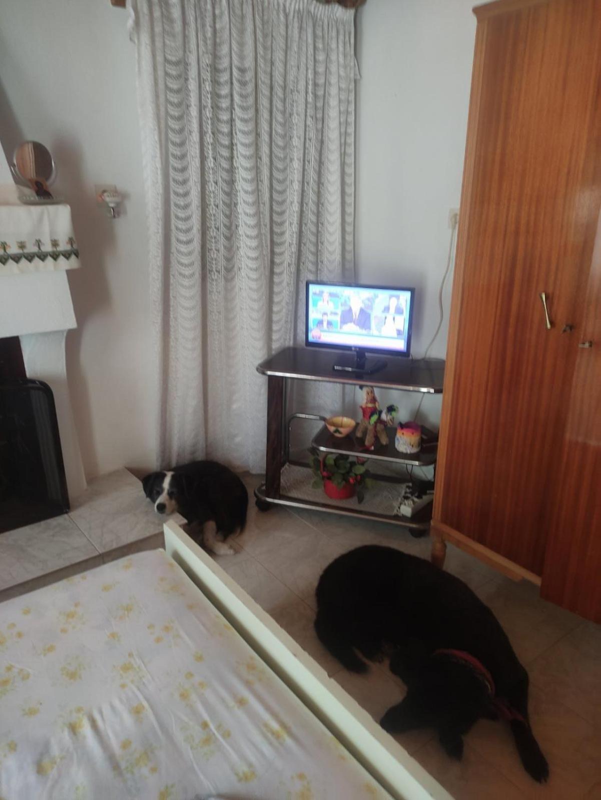 Trikeri Traditional Cozy House Esterno foto