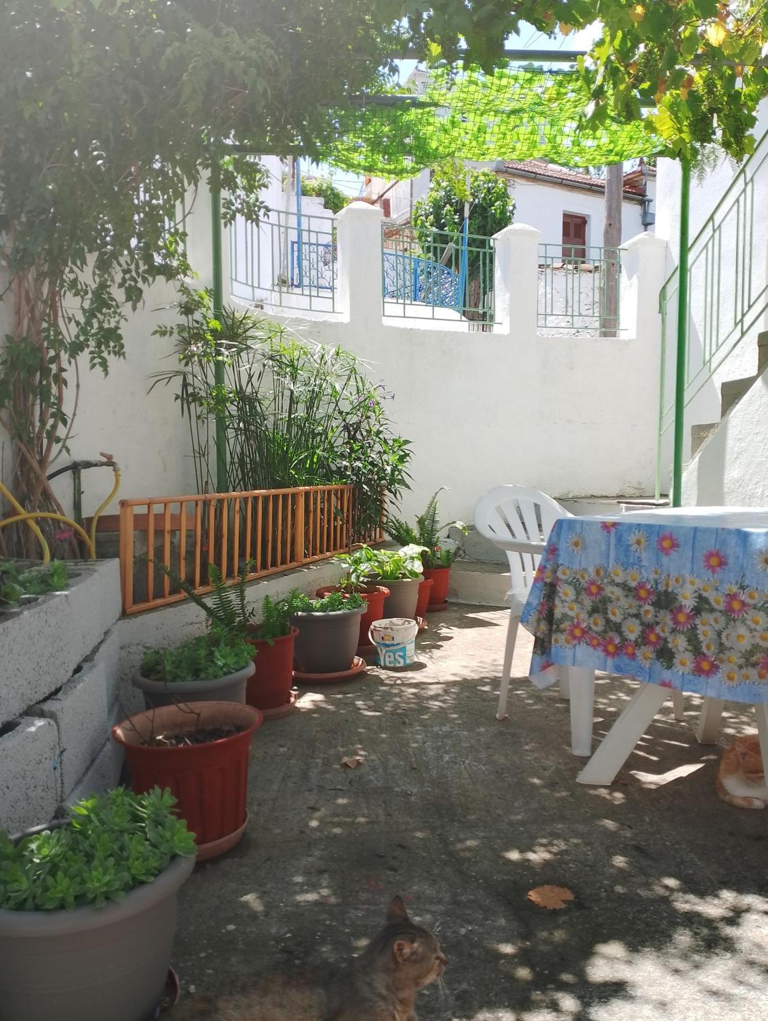 Trikeri Traditional Cozy House Esterno foto